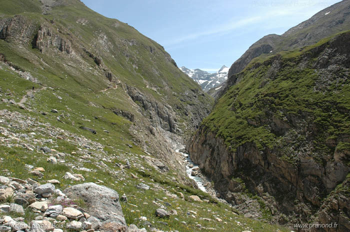 Gorges de Malpasset